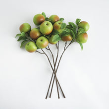 Load image into Gallery viewer, APPLE BRANCHES 20" ST/4