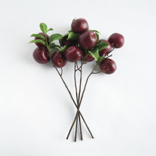 Load image into Gallery viewer, APPLE BRANCHES 20" ST/4