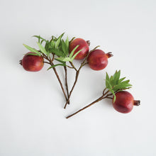 Load image into Gallery viewer, POMEGRANATE PICKS 10" ST/4