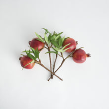 Load image into Gallery viewer, POMEGRANATE PICKS 10" ST/4