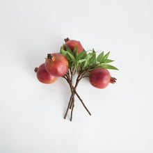 Load image into Gallery viewer, POMEGRANATE PICKS 10" ST/4