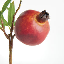 Load image into Gallery viewer, POMEGRANATE PICKS 10" ST/4