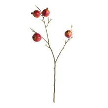 Load image into Gallery viewer, POMEGRANATE BRANCHES 36" ST/4