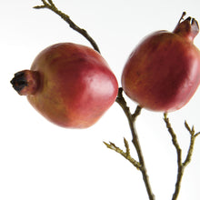 Load image into Gallery viewer, POMEGRANATE BRANCHES 36" ST/4