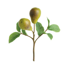 Load image into Gallery viewer, PEAR PICKS 9.5" ST/4
