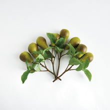 Load image into Gallery viewer, PEAR PICKS 9.5" ST/4