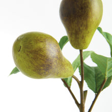 Load image into Gallery viewer, PEAR PICKS 9.5" ST/4