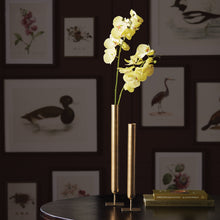Load image into Gallery viewer, PHALAENOPSIS ORCHID STEMS 28" ST/4