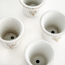 Load image into Gallery viewer, CLASSIC RABBIT MINI POTS, SET OF 4