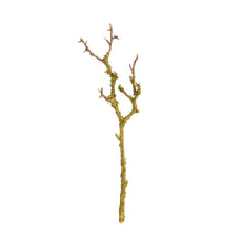Load image into Gallery viewer, LICHEN BRANCHES 17", SET OF 6