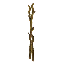 Load image into Gallery viewer, MOSS BRANCHES 24", SET OF 2