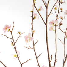 Load image into Gallery viewer, PINK QUINCE BLOSSOM BRANCHES 54", SET OF 2