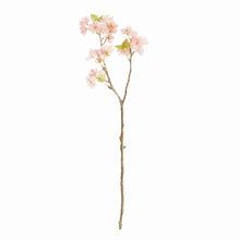 Load image into Gallery viewer, DOUBLE CHERRY BLOSSOM STEMS 28", SET OF 6