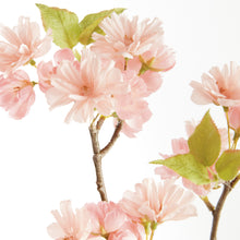 Load image into Gallery viewer, DOUBLE CHERRY BLOSSOM STEMS 28", SET OF 6