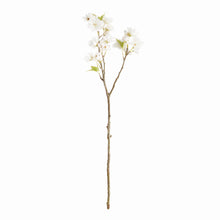 Load image into Gallery viewer, DOUBLE CHERRY BLOSSOM STEMS 28", SET OF 6