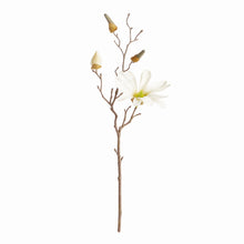 Load image into Gallery viewer, STAR MAGNOLIA STEMS 18", SET OF 6