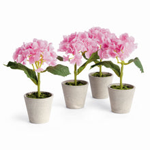 Load image into Gallery viewer, MINI HYDRANGEA POTTED 8", SET OF 4