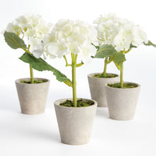Load image into Gallery viewer, MINI HYDRANGEA POTTED 8", SET OF 4