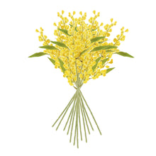 Load image into Gallery viewer, MIMOSA CUTTINGS 11", SET OF 12
