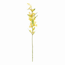 Load image into Gallery viewer, MIMOSA STEMS 27.5", SET OF 6
