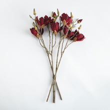 Load image into Gallery viewer, MAGNOLIA STEMS 27" ST/4