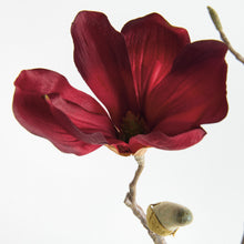 Load image into Gallery viewer, MAGNOLIA STEMS 27" ST/4