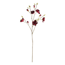 Load image into Gallery viewer, MAGNOLIA BRANCHES 50" ST/2