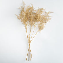Load image into Gallery viewer, GILDED FERN STEMS 36" ST/4