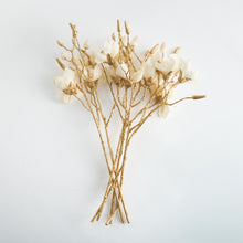 Load image into Gallery viewer, GILDED MAGNOLIA STEMS 27" ST/6