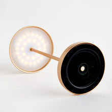 Load image into Gallery viewer, ALLUNA CORDLESS LED LAMP 14"