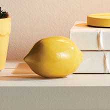 Load image into Gallery viewer, Lemon Objets, Set Of 2
