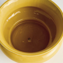 Load image into Gallery viewer, CORA WIDE POT