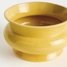 Load image into Gallery viewer, CORA WIDE POT
