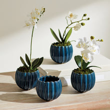 Load image into Gallery viewer, LEANNA MINI POTS ST/4