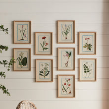 Load image into Gallery viewer, DAINTY FLORA & FAUNA STUDY, SET OF 9