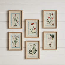 Load image into Gallery viewer, DAINTY FLORA & FAUNA STUDY, SET OF 9