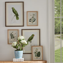 Load image into Gallery viewer, DAINTY FLORA & FAUNA STUDY, SET OF 9