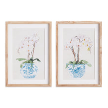 Load image into Gallery viewer, POTTED PHALAENOPSIS PRINTS, SET OF 2