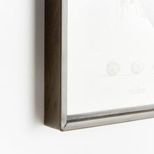 Load image into Gallery viewer, ASSORTED BIRD NEST STUDY ST/6