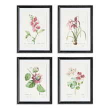 Load image into Gallery viewer, BLUSH BLOOMS STUDY ST/4