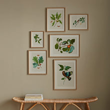Load image into Gallery viewer, WILDLIFE GALLERY ST/6
