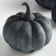 Load image into Gallery viewer, SCULPTED PUMPKINS ST/3