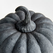 Load image into Gallery viewer, SCULPTED PUMPKINS ST/3