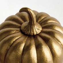 Load image into Gallery viewer, SCULPTED PUMPKINS ST/3