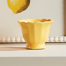 Load image into Gallery viewer, MIRABELLE MINI CACHEPOTS, SET OF 6