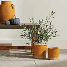 Load image into Gallery viewer, MAISHA POTS ST/2