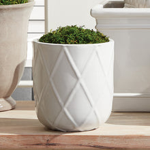 Load image into Gallery viewer, MAXWELL POTS, SET OF 3