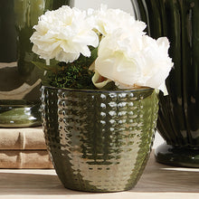 Load image into Gallery viewer, HAYDEN POTS, SET OF 3