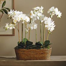 Load image into Gallery viewer, BURMA RATTAN OVAL CACHEPOT