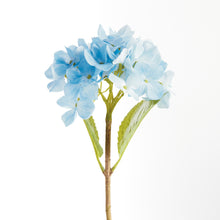 Load image into Gallery viewer, HYDRANGEA STEMS 18", SET OF 6
